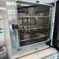 Thermo HERAcell Vios 160i Double Stack CO2 Incubator image 1